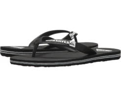 Quiksilver Kids Molokai Youth (Toddler/Little Kid/Big Kid)